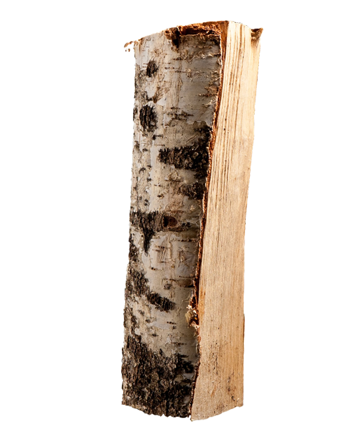 Palette kammergetrocknetes gespalten Birken Brennholz 25cm